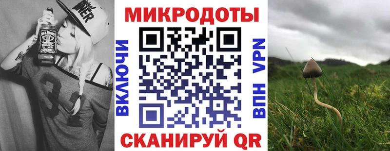 Псилоцибиновые грибы Psilocybine cubensis ОМГ ОМГ ссылка Благовещенск